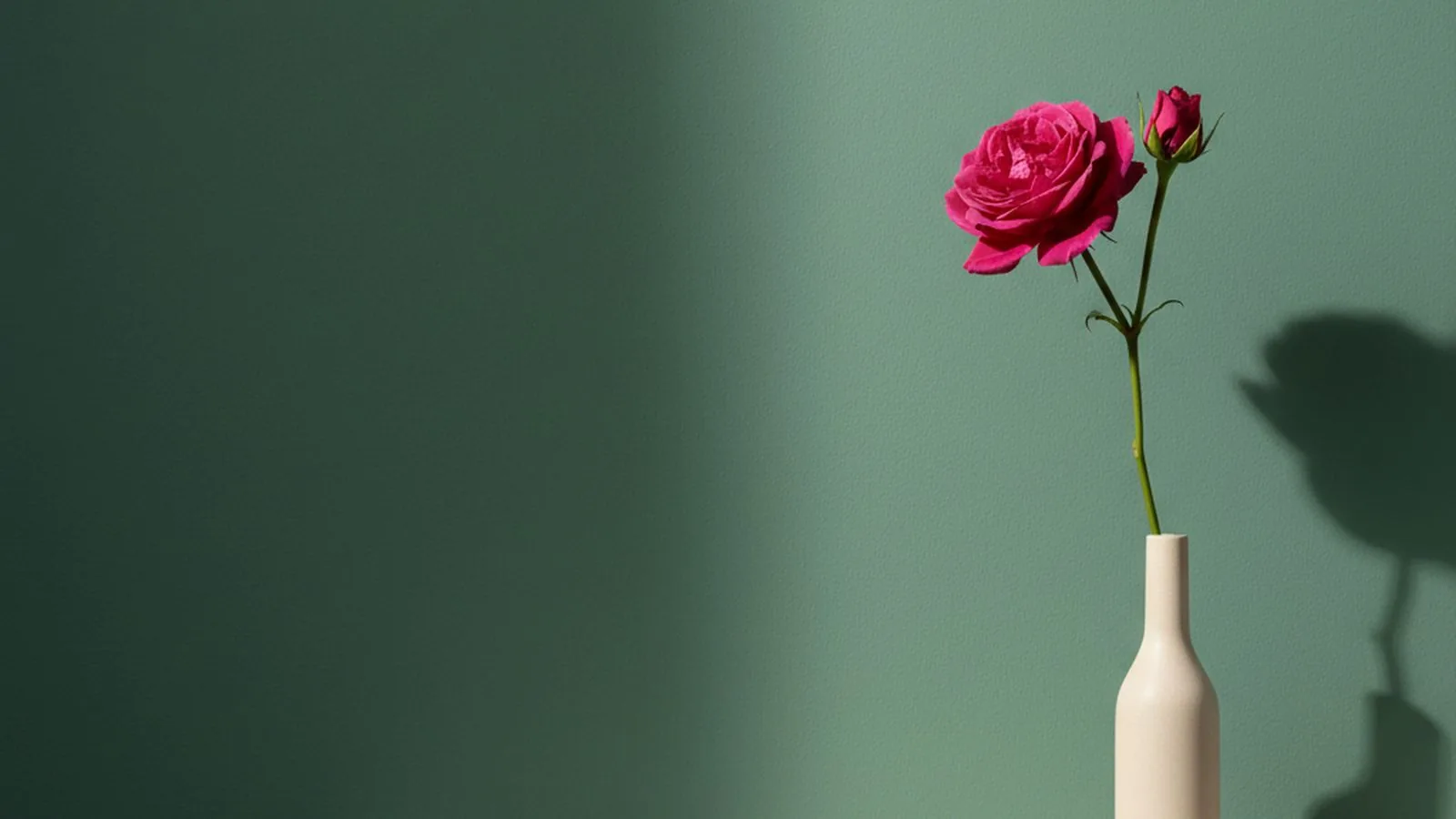 Rosa magenta minimalista estilo Aesop sobre pared sage-emerald · editorial · 16:9
