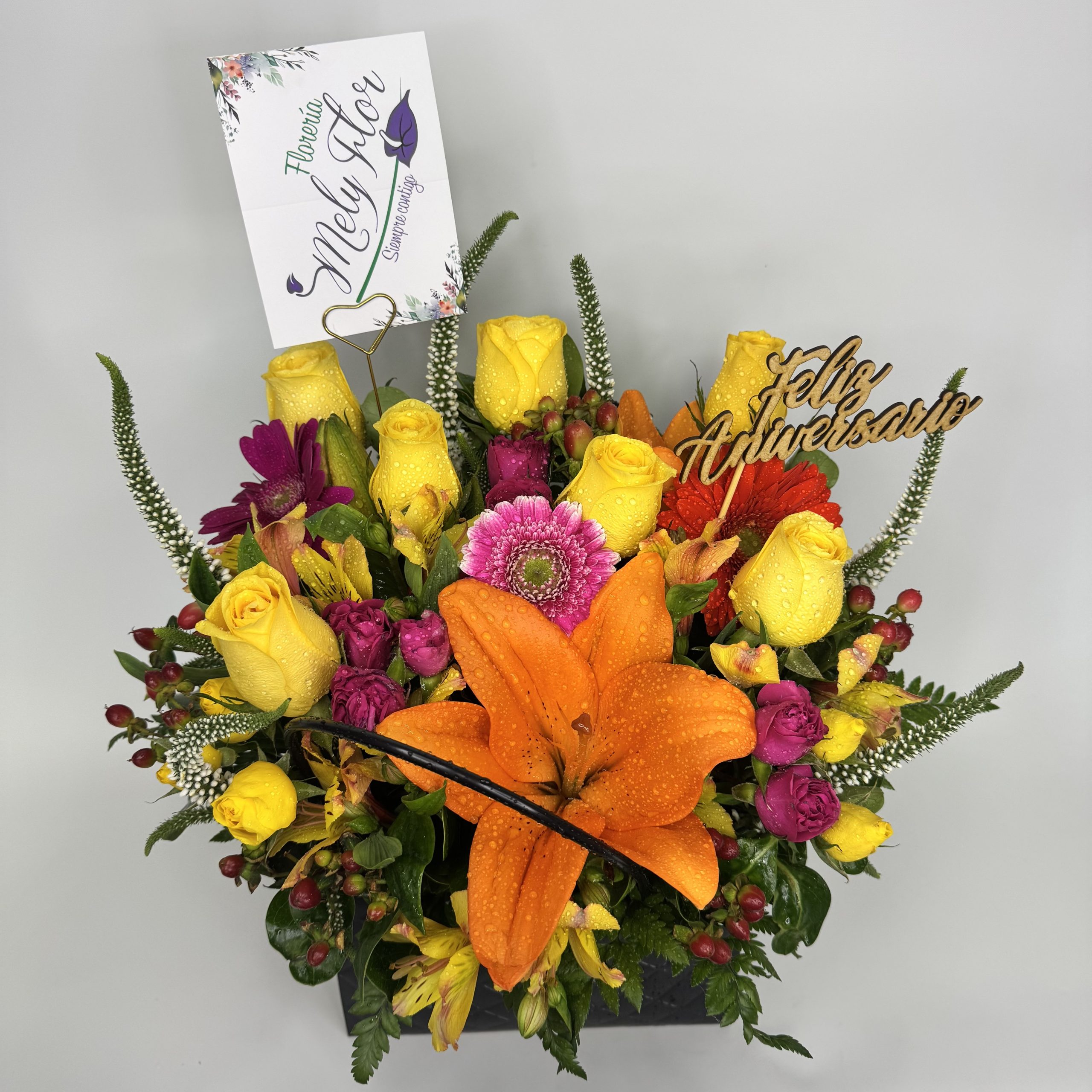 CARTERA PRIMAVERAL - Imagen 4