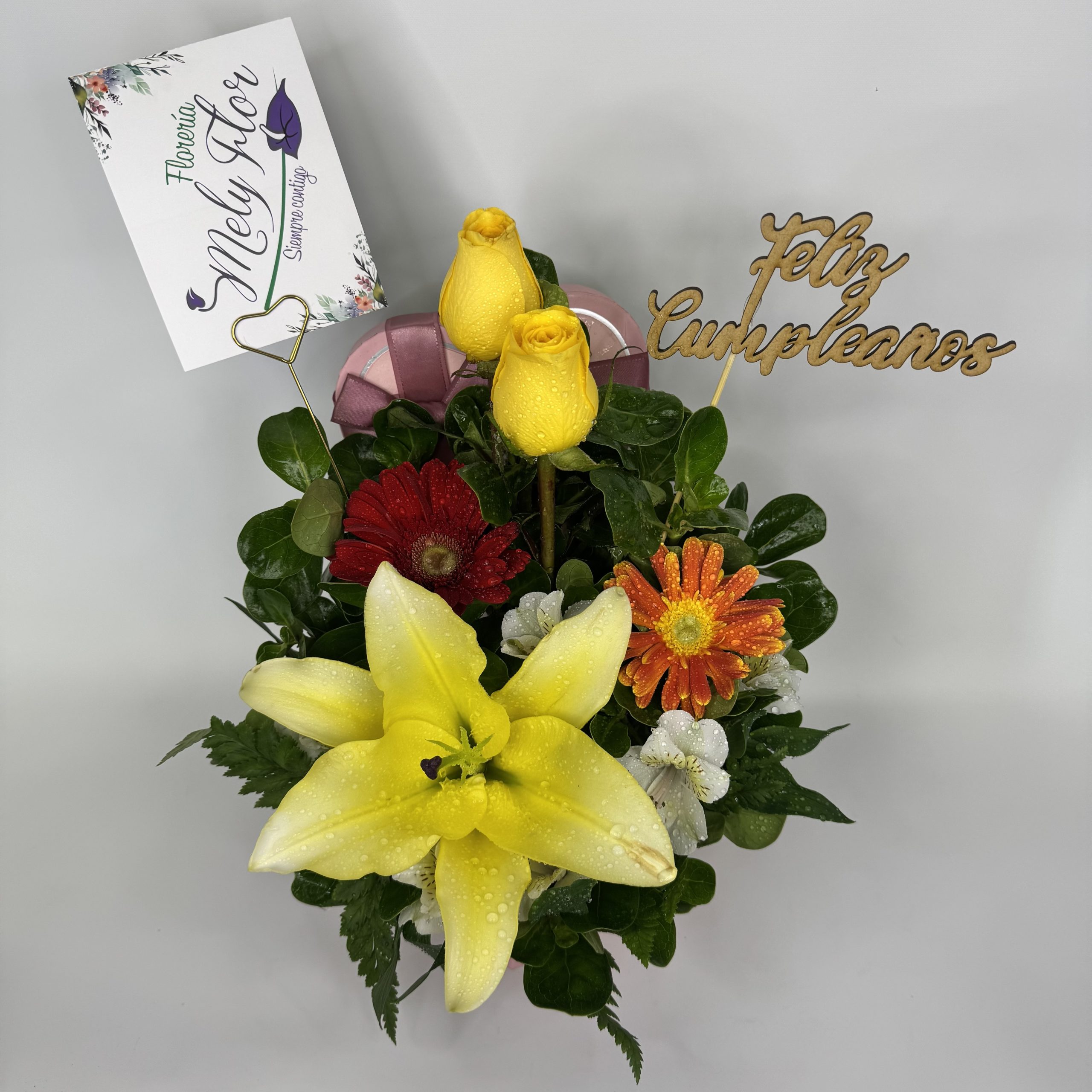 BOX PETITE - Imagen 3